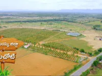  Agricultural Land for Sale in Rayachoti, Cuddapah