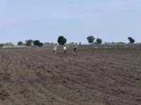  Agricultural Land for Sale in Sadasivpet, Sangareddy