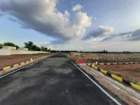  Residential Plot for Sale in Chennamanayakkanpatti, Dindigul