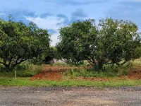 1 BHK Farm House for Sale in Shoolagiri, Hosur