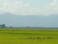  Residential Plot for Sale in Aldona, Goa