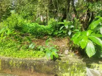  Residential Plot for Sale in Colva, South Goa, 