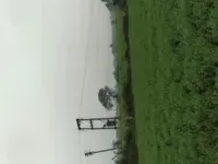  Residential Plot for Sale in Ganj Basoda, Vidisha