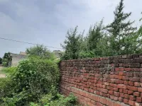 Residential Plot for Sale in Saidkherhi Road, Rajpura, Rajpura