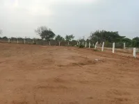  Agricultural Land for Sale in Shabad, Rangareddy