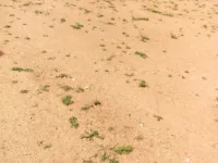  Industrial Land for Sale in Kothur, Hyderabad