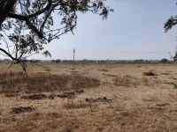Agricultural Land for Sale in Kodangal, Vikarabad