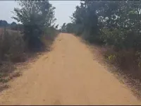  Agricultural Land for Sale in Pargi, Vikarabad