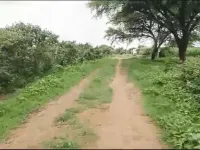 Agricultural Land for Sale in Kandukur, Rangareddy