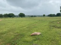  Agricultural Land for Sale in Chevella, Hyderabad