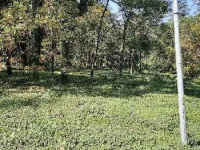  Agricultural Land for Sale in Baijnath, Kangra