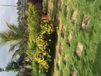 1 BHK Farm House for Sale in Devanahalli, Bangalore