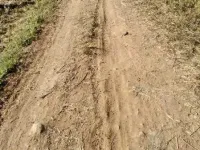  Agricultural Land for Sale in Piduguralla, Guntur