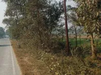  Commercial Land for Sale in Palhani Block, Azamgarh