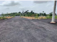  Residential Plot for Sale in Delhi More, Darbhanga