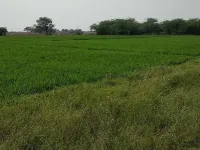  Agricultural Land for Sale in Bhongir, Yadadri Bhuvanagiri