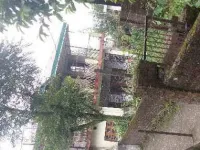  House for Sale in Dari, Dharamsala