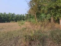  Agricultural Land for Sale in Sanjan, Valsad