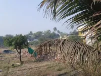  Agricultural Land for Sale in Dahanu, Thane