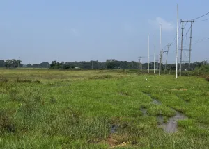  Agricultural Land for Sale in Changsari, Guwahati