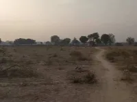  Agricultural Land for Sale in Goyla Dairy, Dwarka, Delhi