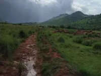  Agricultural Land for Sale in Tiruttani, Thiruvallur