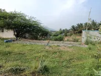  Residential Plot for Sale in Thennampalayam, Coimbatore