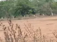  Commercial Land for Sale in Jangaon, Warangal