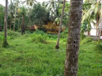  Residential Plot for Sale in Payyoli, Kozhikode