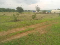  Agricultural Land for Sale in Neelbad, Bhopal