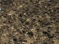  Agricultural Land for Sale in Thimmakpally, Kamareddy, Kamareddy