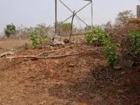  Agricultural Land for Sale in Mangaon, Raigad