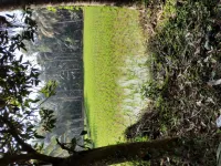  Agricultural Land for Sale in Kothapeta, East Godavari