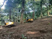  Agricultural Land for Sale in Madikeri, Kodagu