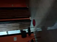 3 BHK Builder Floor for Sale in Block C Shastri Nagar, Ghaziabad