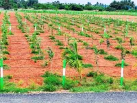  Agricultural Land for Sale in Medavakkam, Chennai