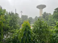  Agricultural Land for Sale in Teekli Village, Sohna, Gurgaon