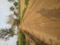  Agricultural Land for Sale in Babugarh, Hapur