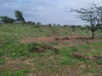  Agricultural Land for Sale in Ranjangaon, Pune
