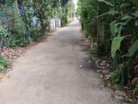  Residential Plot for Sale in Pazhuvil, Thrissur