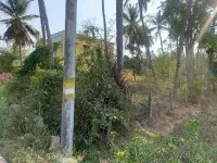  Agricultural Land for Sale in Malavalli, Mandya