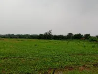  Agricultural Land for Sale in Baheri, Bareilly