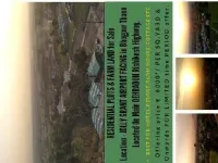  Agricultural Land for Sale in Doiwala, Dehradun