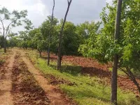  Agricultural Land for Sale in Gangawati, Koppal
