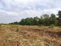  Agricultural Land for Sale in Trichy Highways, Tiruchirappalli