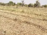  Agricultural Land for Sale in Kapadvanj, Kheda