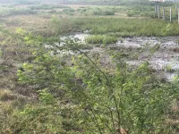  Commercial Land for Sale in Melur, Madurai