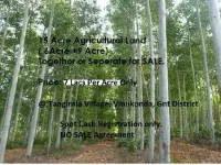  Agricultural Land for Sale in Nuzendla, Guntur