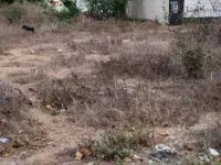  Residential Plot for Sale in Navule, Shimoga