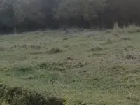  Residential Plot for Sale in Palampur, Kangra